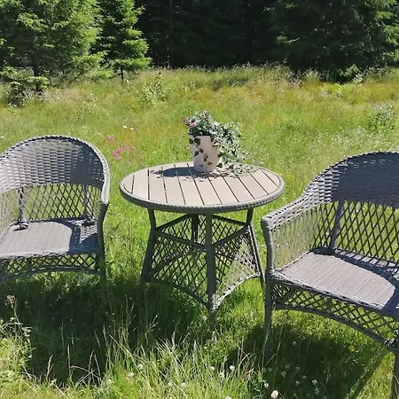 Lys Og Moderne I Bo. Bo (Telemark)