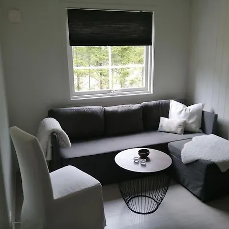 Lys Og Moderne I Bo. *