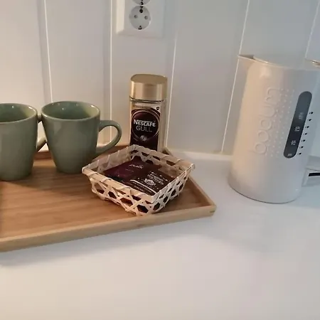 公寓 Lys Og Moderne I Bo. 伯